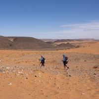 4-elles-marchent-quatre-jours-dans-le-desert